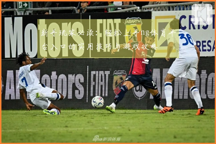 新手玩家必读：轻松上手ng体育平台入口的实用技巧与游戏攻略