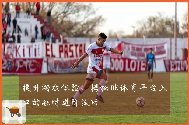 提升游戏体验，揭秘mk体育平台入口的独特进阶技巧