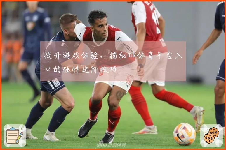 提升游戏体验,揭秘mk体育平台入口的独特进阶技巧