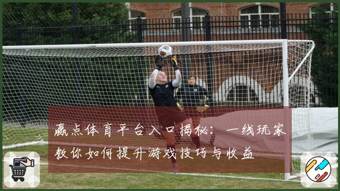 赢点体育平台入口揭秘：一线玩家教你如何提升游戏技巧与收益