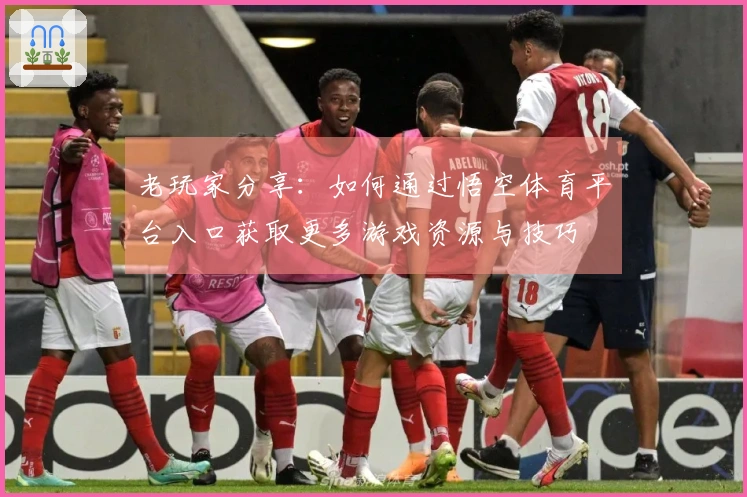 老玩家分享：如何通过悟空体育平台入口获取更多游戏资源与技巧