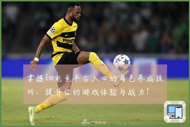 掌握im电竞平台入口的角色养成技巧,提升你的游戏体验与战力!